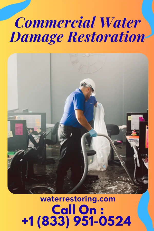 Commercial Water Damage Restoration in Grass Lake, MI
