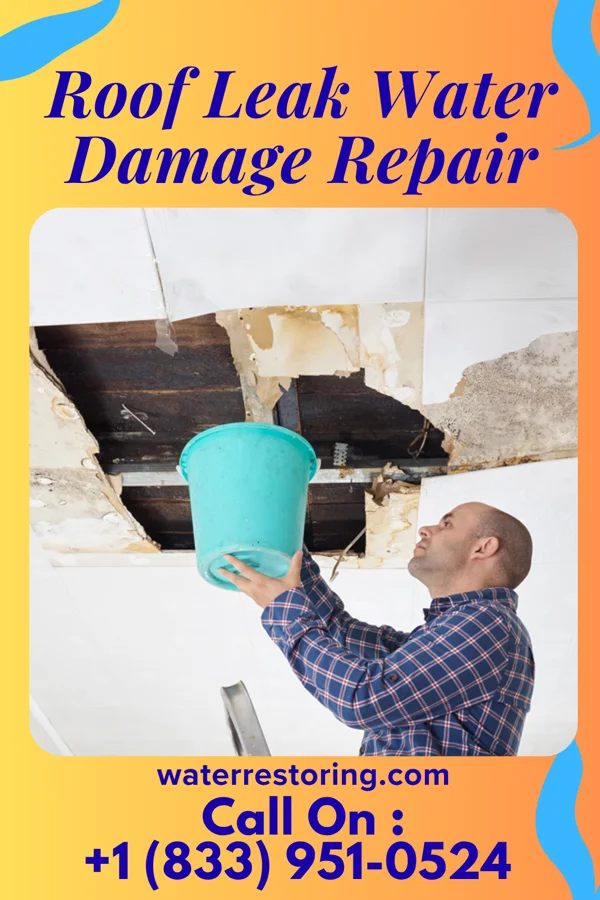 Roof Leak Water Damage Repair in Grass Lake, MI