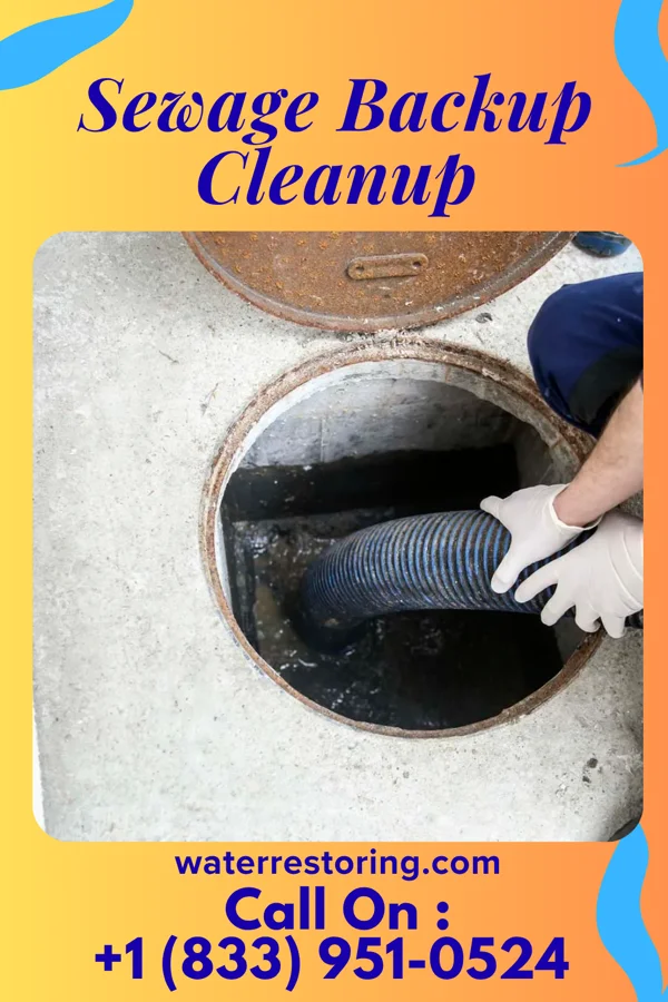Sewage Backup Cleanup in Grass Lake, MI